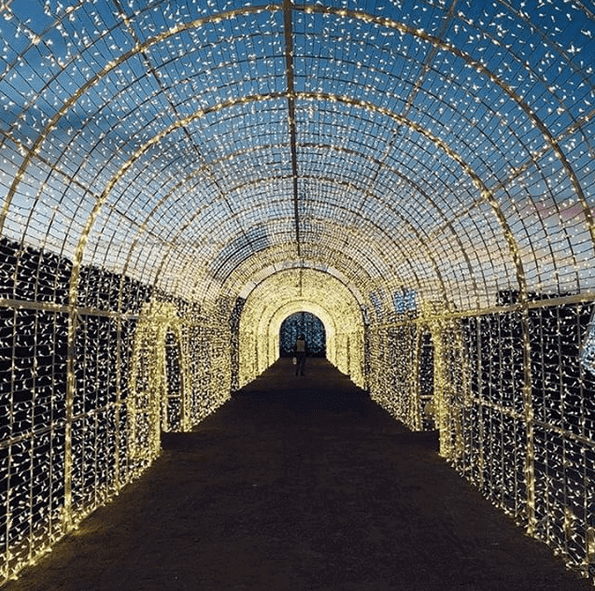 Enchant Christmas Light Maze