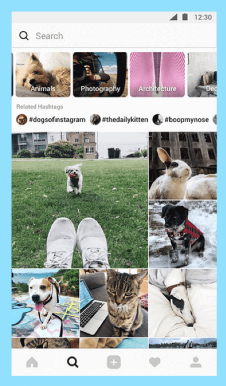 Instagram explore page design update